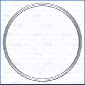Dichtung, Abgasrohr 18008800