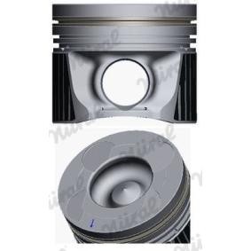 Achetez des Piston NÜRAL 87-436107-00 à prix pour 93,75 €