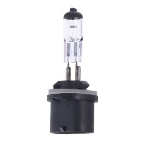 SSANGYONG Glühlampe, Nebelscheinwerfer von MAXGEAR