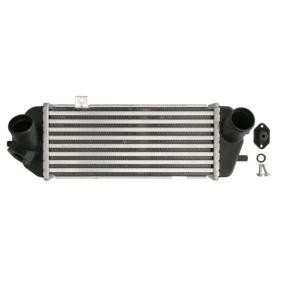 Köp Intercooler av THERMOTEC DA05002TT till det låga priset 1508,66 kr