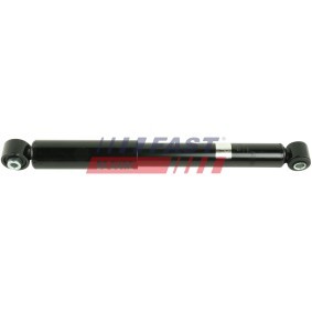 Stoßdämpfer FT11092