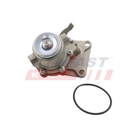 Osta Polttoainepumppu FAST:llä FT53025 edullisesti hintaan 43,02 €