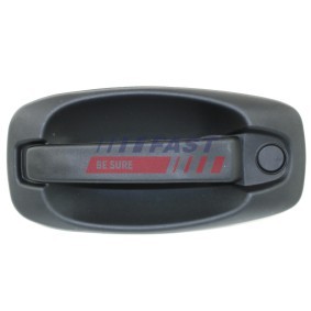 Türgriff FT94576