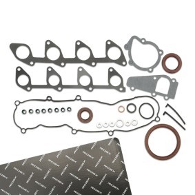 Achetez des Pochette de joints moteur de chez RIDEX en ligne pour Scudo I Break (220) à prix modérés