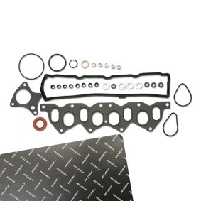 Dichtungssatz, Zylinderkopf 319G0042 RENAULT EXPRESS von RIDEX