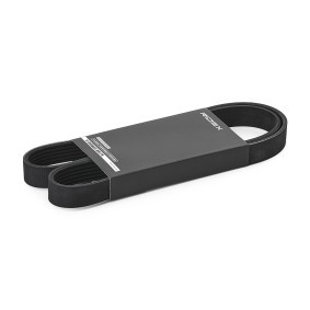 Achetez des Courroie Poly-V RIDEX 305P0295 à prix pour 9,88 €
