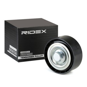 Achetez des Poulie, tendeur de courroie d'accessoire de chez RIDEX en ligne pour Jumpy I Camion plate-forme/Châssis (BU, BV, BW, BX) à prix modérés