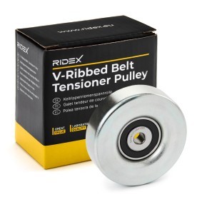 Compre Rolo tensor, correia trapezoidal estriada da RIDEX 310T0189 a um preço baixo por 18,02 €