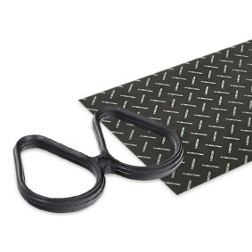 Ansaugkrümmerdichtung von RIDEX für CLIO II (BB0/1/2_, CB0/1/2_) günstig online kaufen