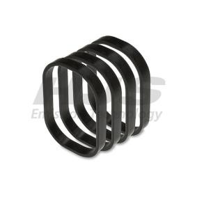 Dichtungssatz, Ansaugkrümmer 82 12 1847 von HJS günstig für 9,82 € online kaufen