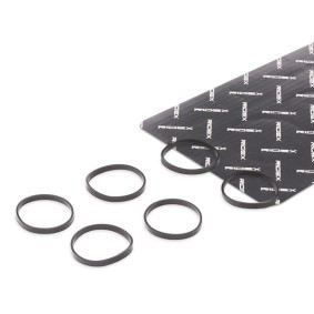 Ansaugkrümmerdichtung von RIDEX für B5 Kombi (F11) günstig online kaufen