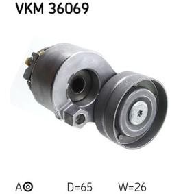 Compre Rolo tensor, correia trapezoidal estriada da SKF VKM 36069 a um preço baixo por 62,78 €