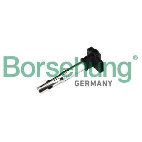 Zündspule von Borsehung