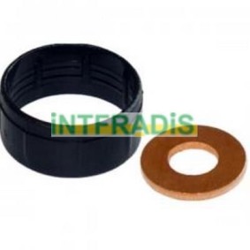 Compre Jogo de juntas, injectores da INTFRADIS 10125 a um preço baixo por 4,61 €