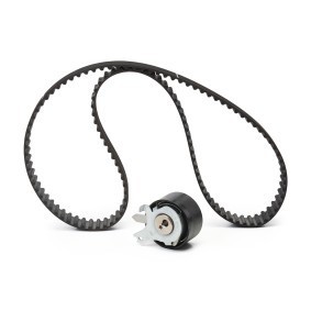 Achetez des Kit de distribution SKF VKMA 06134 à prix pour 53,98 €