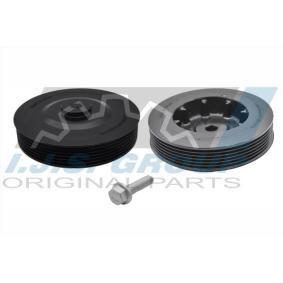 Acquista Kit pulegge, Albero motore / a gomito da IJS GROUP 17-1001SET a buon mercato per soli 48,31 €