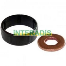 Compre Jogo de juntas, injectores da INTFRADIS 10126 a um preço baixo por 4,52 €