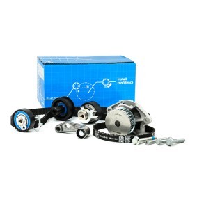 Achetez des Kit de distribution + pompe à eau SKF VKMC 01121-1 à prix pour 158,56 €