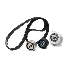 Achetez des Kit de distribution + pompe à eau SKF VKMC 03121 à prix pour 107,84 €