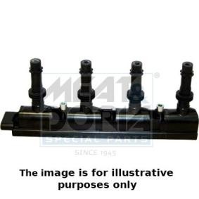 Zündspule 10606E