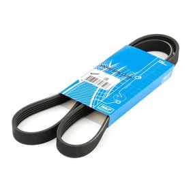 Compre Correia trapezoidal estriada da SKF VKMV 5PK1199 a um preço baixo por 11,74 €