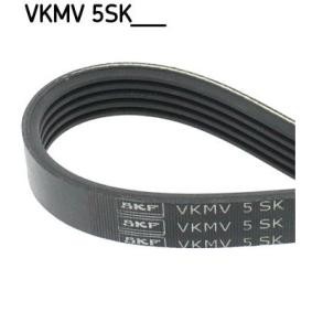 Achetez des Courroie Poly-V SKF VKMV 5SK705 à prix pour 12,67 €