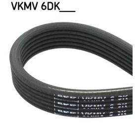 Achetez des Courroie Poly-V SKF VKMV 6DK1836 à prix pour 27,00 €