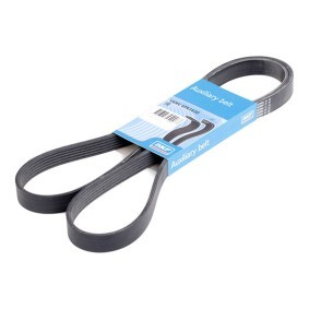 Achetez des Courroie Poly-V SKF VKMV 6PK1620 à prix pour 14,53 €