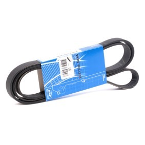 Achetez des Courroie Poly-V SKF VKMV 6PK1836 à prix pour 18,73 €