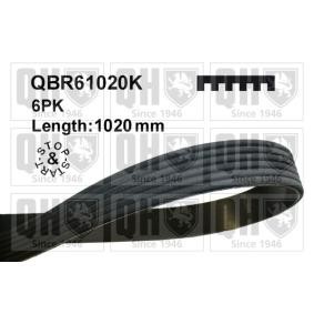 Achetez des Courroie Poly-V QUINTON HAZELL QBR61020K à prix pour 32,72 €