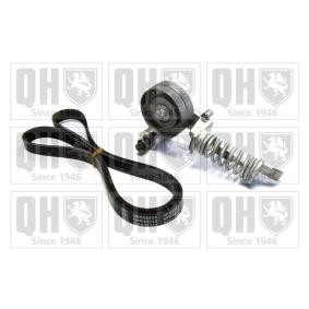 Achetez des Jeu de courroies trapézoïdales à nervures QUINTON HAZELL QDK119 à prix pour 125,94 €