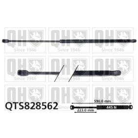 Achetez des Vérin de coffre QUINTON HAZELL QTS828562 à prix pour 40,78 €