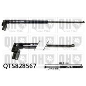 Achetez des Vérin de coffre QUINTON HAZELL QTS828567 à prix pour 86,97 €