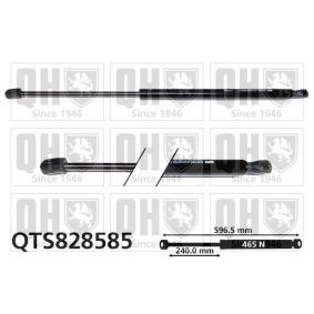 Achetez des Vérin de coffre QUINTON HAZELL QTS828585 à prix pour 27,18 €