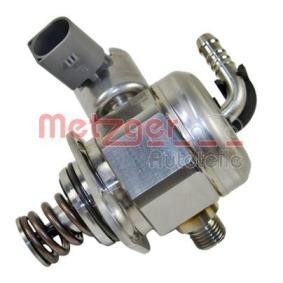 Achetez des Pompe à injection METZGER 2250300 à prix pour 248,15 €