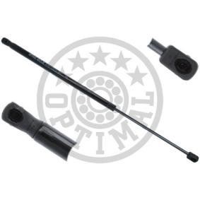 Heckklappendämpfer AG-40291