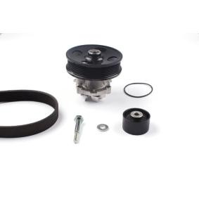 Achetez des Pompe à eau+Jeu de courroie trapézoïdale à nervures HEPU PK03234 à prix pour 113,19 €