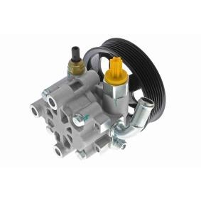 Servopumpe A70-0498