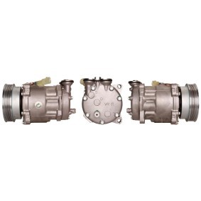 Acquista Compressore aria condizionata da LUCAS ACP169 a buon mercato per soli 320,67 €