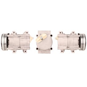 Acquista Compressore aria condizionata da LUCAS ACP171 a buon mercato per soli 161,73 €