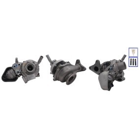 Turbolader LTRPA8220887