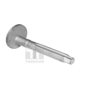 Sturzkorrekturschraube TED39597