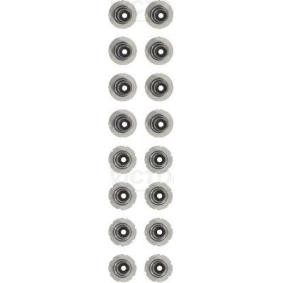 Comprar Juego de juntas, vástago de válvula de REINZ 12-10017-01 a bajo precio de 27,24 €