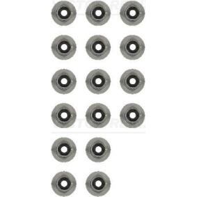 Comprar Juego de juntas, vástago de válvula de REINZ 12-13246-01 a bajo precio de 20,89 €