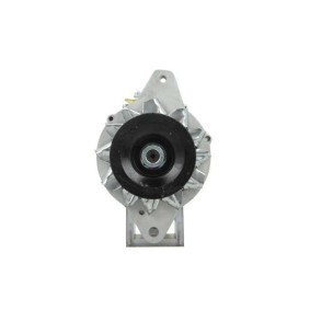Lichtmaschine 196.803.025.050