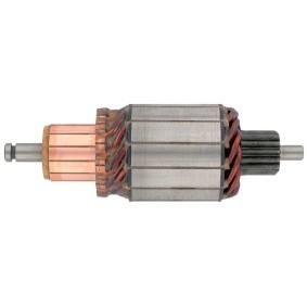 Lichtmaschine von BV PSH