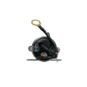 Anlasser von BV PSH