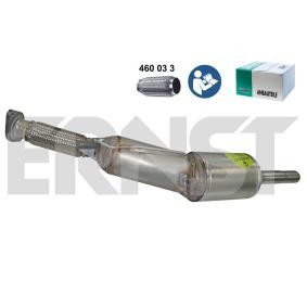 Partikelfilter (DPF) für DACIA von ERNST