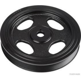 Achetez des Poulie damper (vilebrequin) HERTH+BUSS JAKOPARTS J1095017 à prix pour 88,22 €