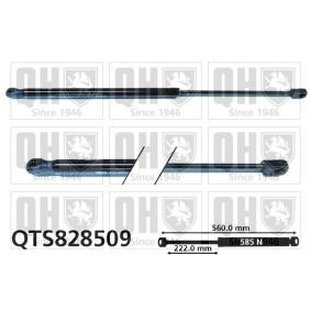 Achetez des Vérin de coffre QUINTON HAZELL QTS828509 à prix pour 20,23 €